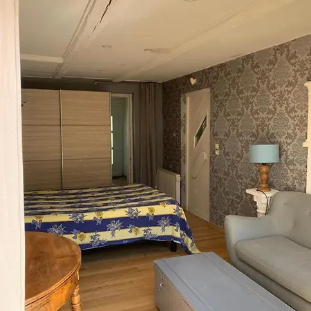 Studio Cosy De 27 M2 Dans Un Village Pittoresques 布勒斯海姆